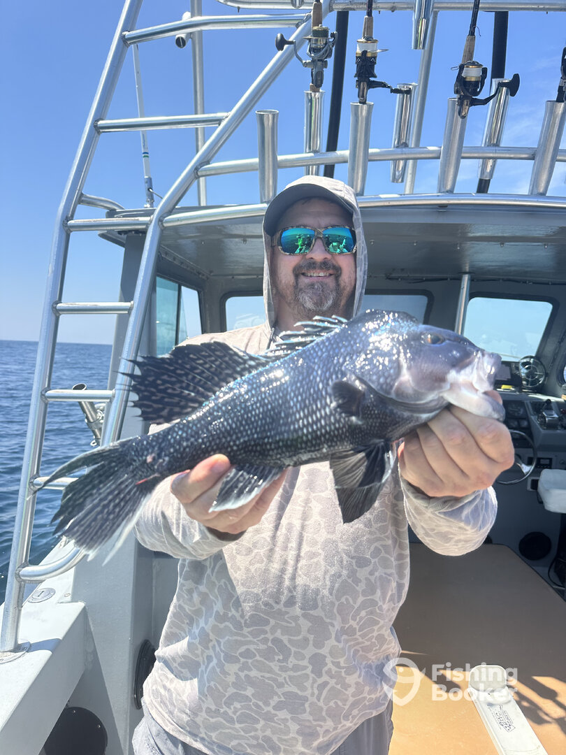 Virginia Beach Report Photo 0