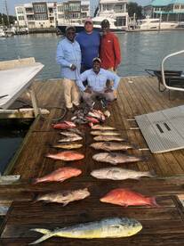 Bottom Fishing is still on fire! 