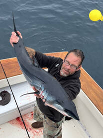 FOUR Mako Sharks today- 2 females releas