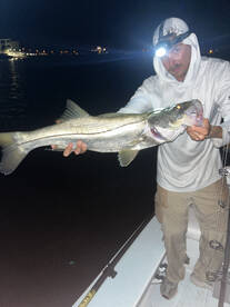 St. Petersburg Report Photo 1