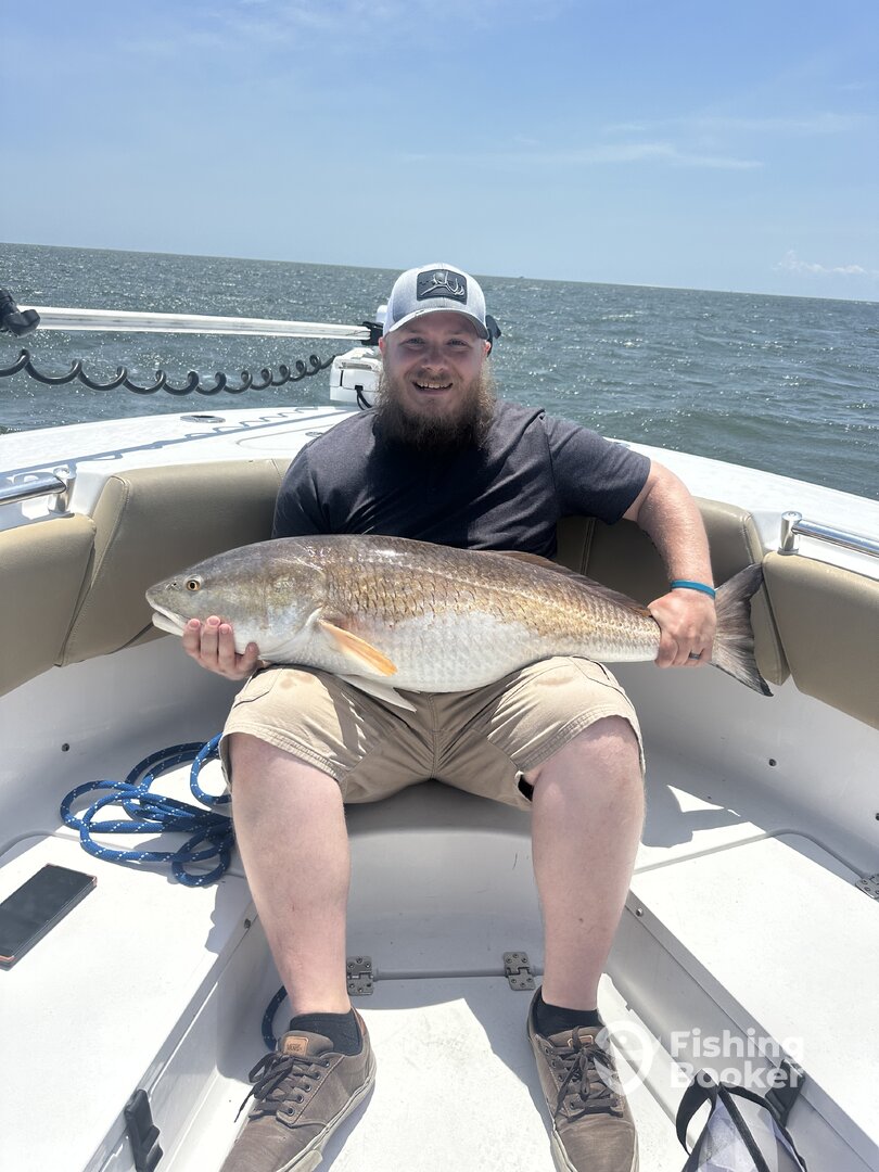 Manteo Report Photo 0