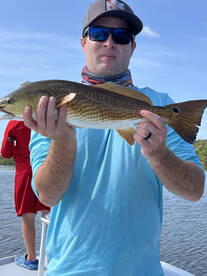 Redfish