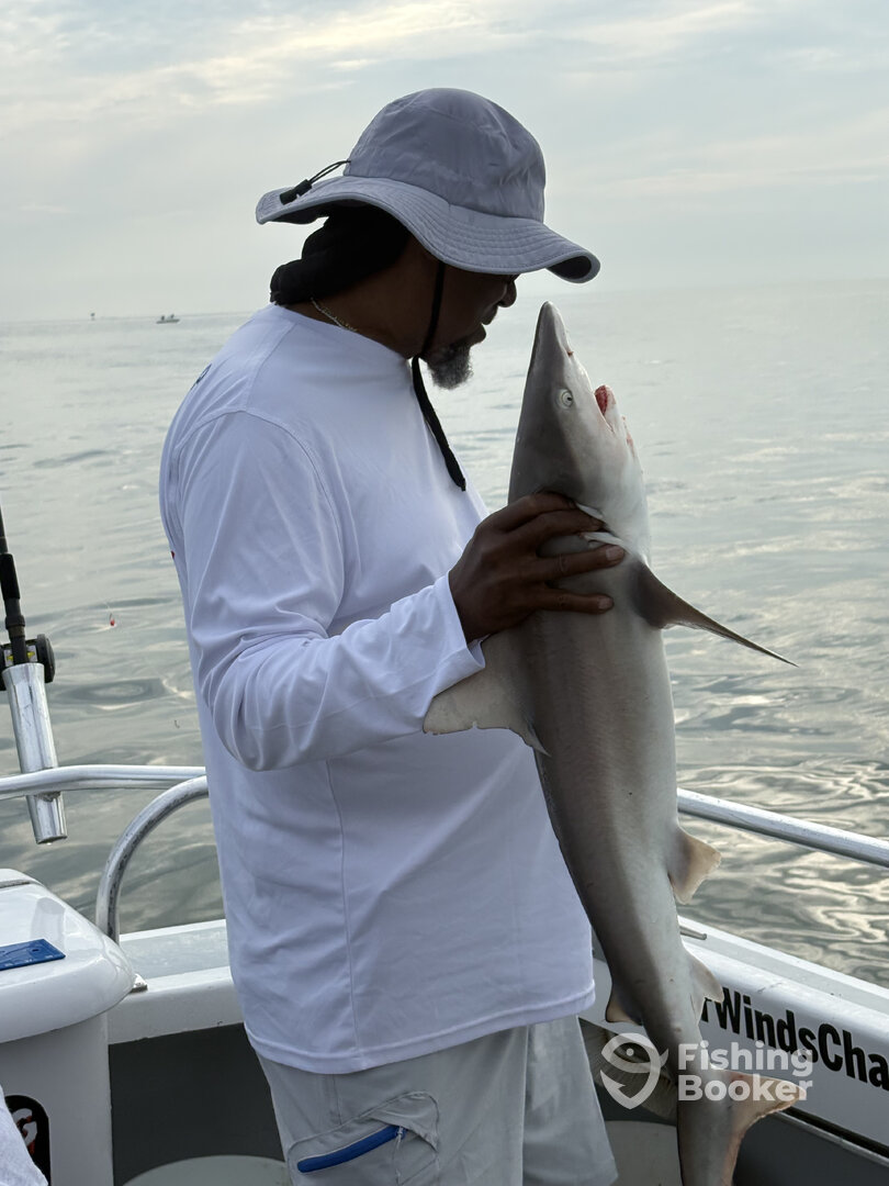 Hampton Report Photo 0