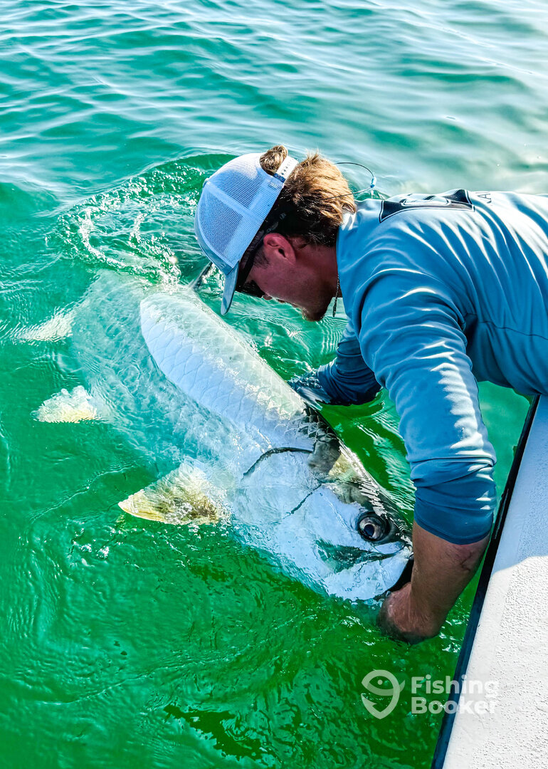 Naples Report Photo 0