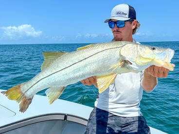 Naples Report Photo 2