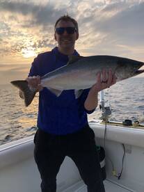 Kings are still around