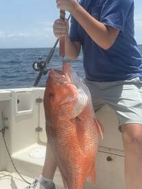 Red Snapper 