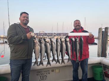 Boom quick limit of cohos!!!