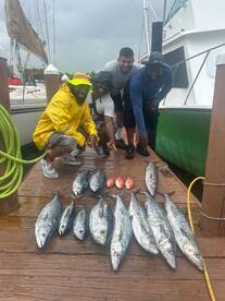 Dania Beach Report Photo 1