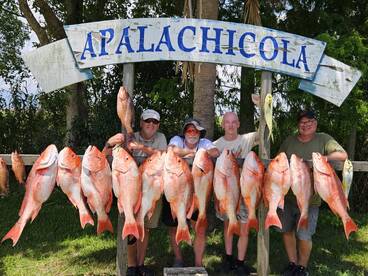Red Snapper Chomping