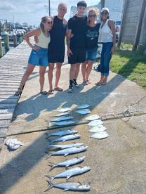 The Spanish mackerel are here!