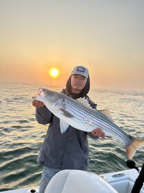 Barnstable Report Photo 1