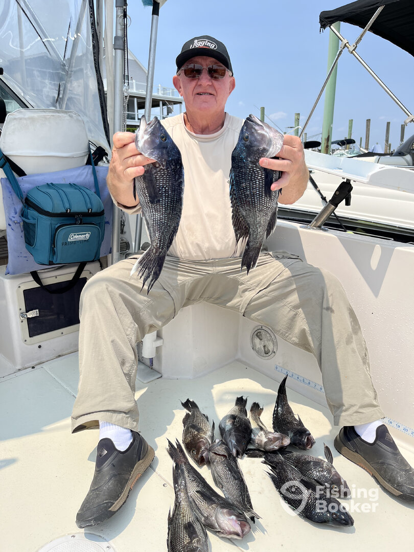 Highlands Report Photo 0