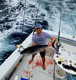 Wanchese Report Photo 2