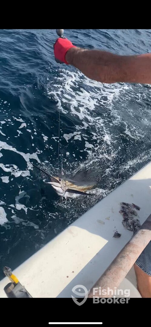 Panama City Beach Report Photo 0