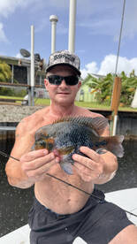 Delray Beach Report Photo 1