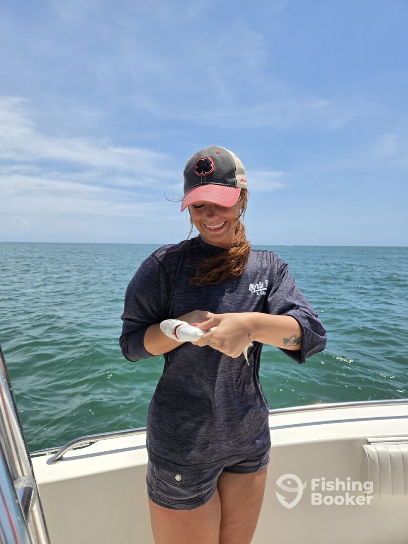 Murrells Inlet Report Photo 0