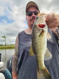 Outer Banks Bass Fishing 