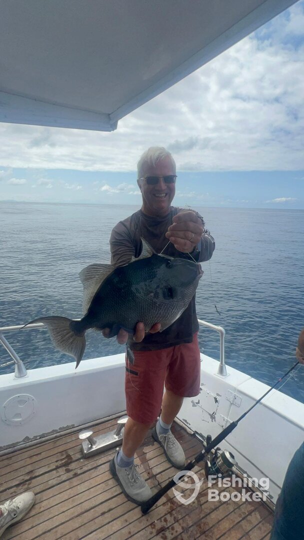 Funchal Report Photo 0