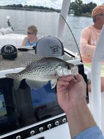 Tega Cay Report Photo 2