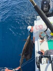 Playa Flamingo Report Photo 1