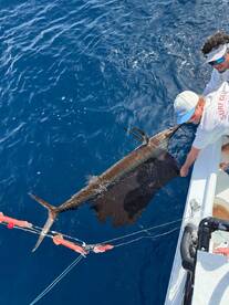 Playa Flamingo Report Photo 2