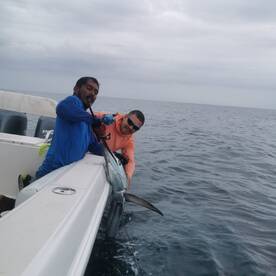 90lb Sailfish that was safely released