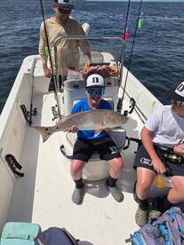 Running of the Bulls