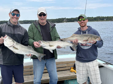 Stripers are here