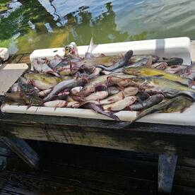 West Tawakoni Report Photo 1