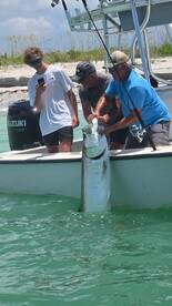 Fish on! Boca Grande Tarpon Peak!