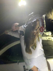 Weston Report Photo 2