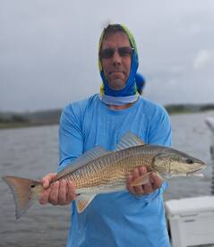 Redfish smackdown