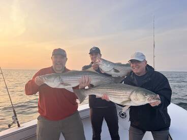 Dennis Report Photo 2