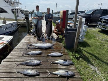 Wanchese Report Photo 2