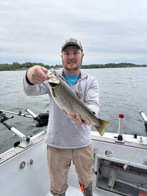 Brown trout 