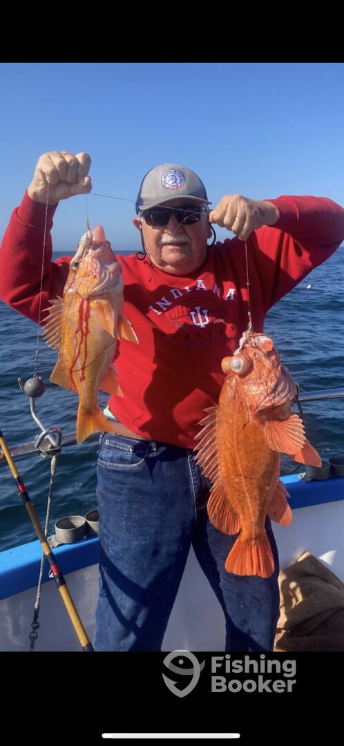 Half Moon Bay Report Photo 0