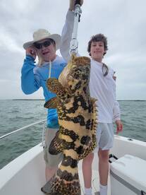 Marco Island Report Photo 2