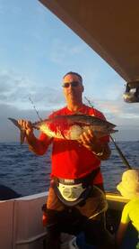 Albacore Tuna - Fantastic!