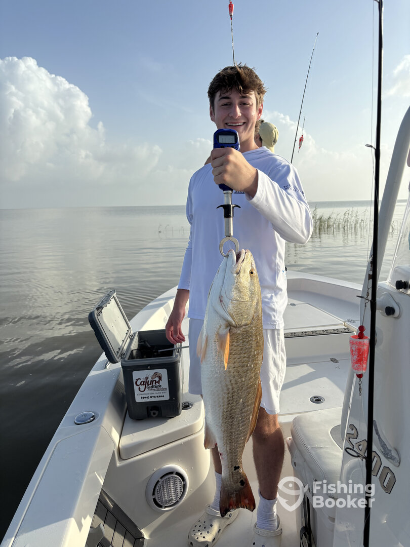 Venice Report Photo 0