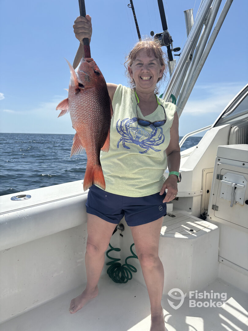 Gulf Shores Report Photo 0