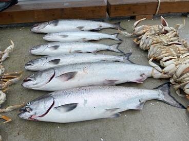 Sooke Report Photo 1