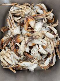 Sooke Report Photo 2