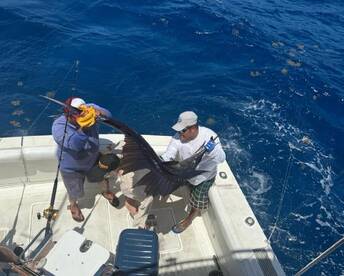 Puerto Aventuras Report Photo 1