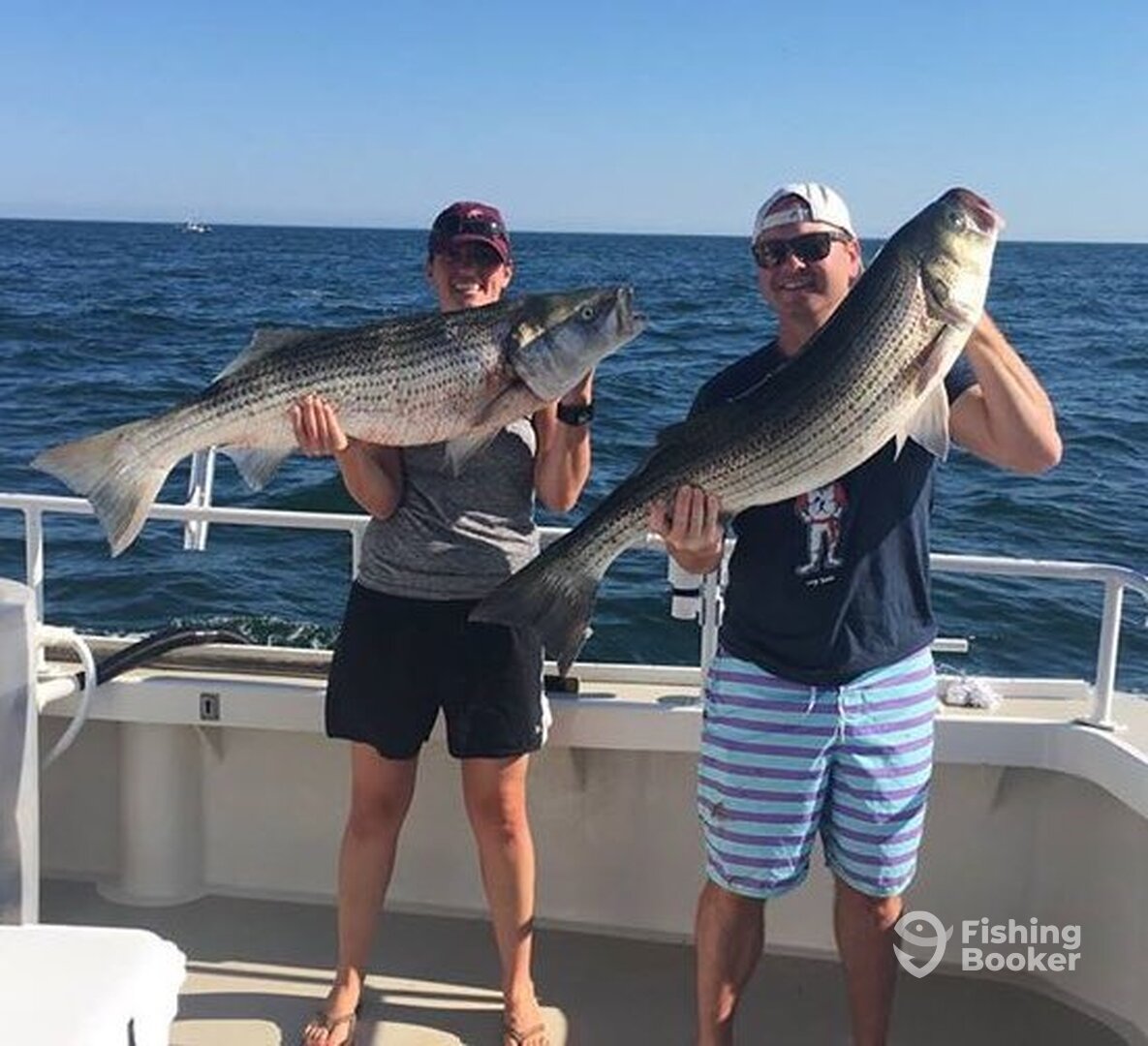 Montauk Report Photo 0