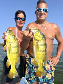 Toa Alta Report Photo 2