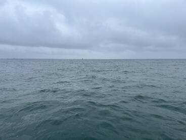 New York City Report Photo 2