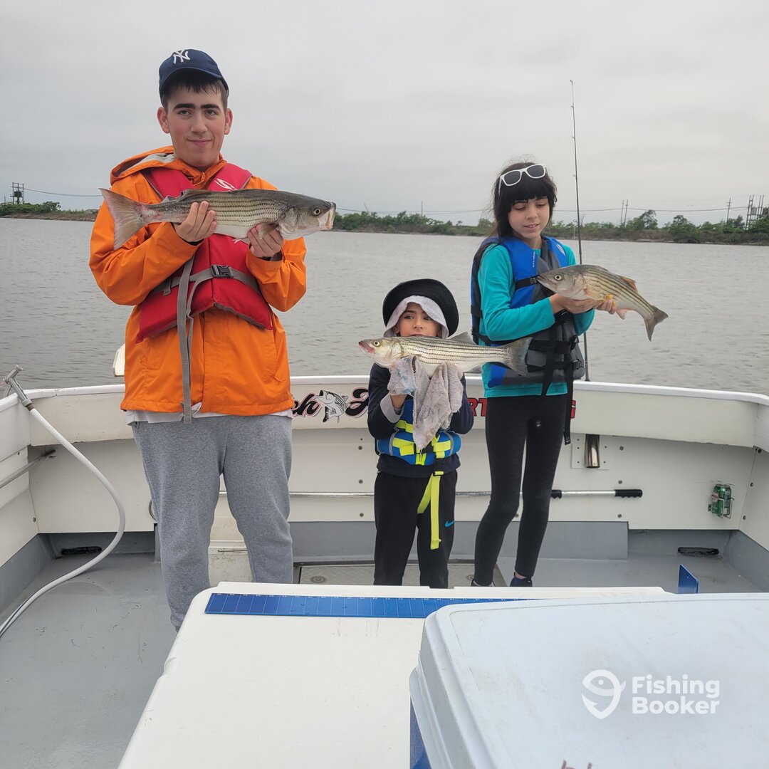 Baltimore Report Photo 0