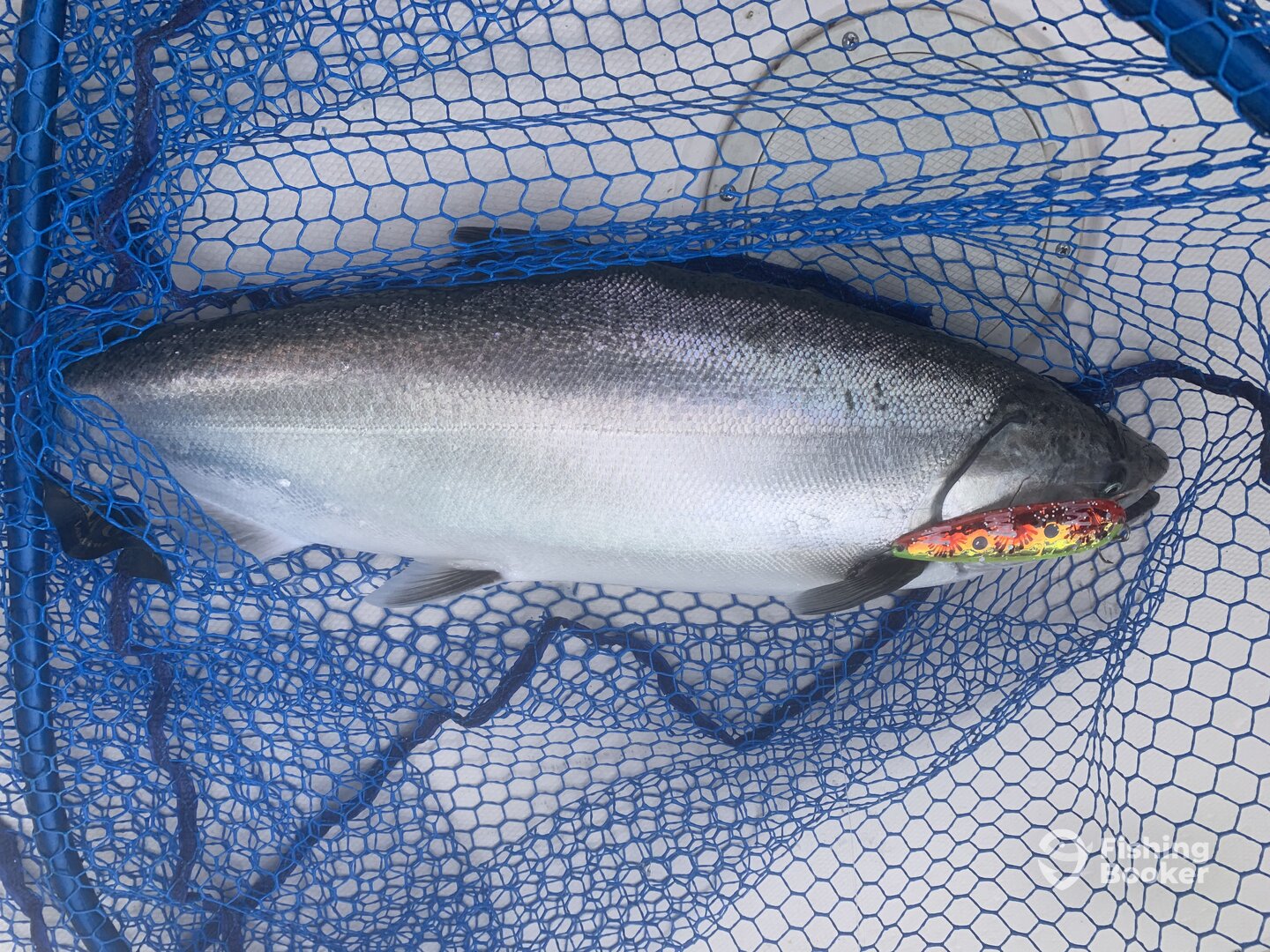 Leland Report Photo 0