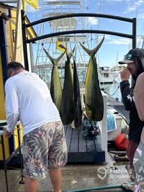 Honolulu Report Photo 2